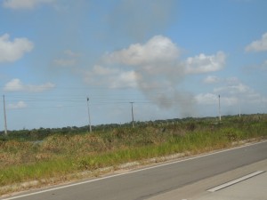 Suikerrietvelden worden na de oogst in brand gestoken