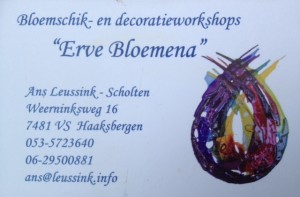 logo erve bloemena