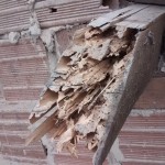 De termieten hebben niet veel overgelaten van de houtconstructie